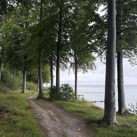 فيلة Modern Close To Nature & The City, Centrally Located In Denmark نْيوبورغ